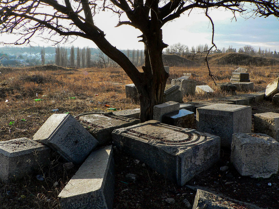 Старое Еврейское кладбище - Алла Рыженко