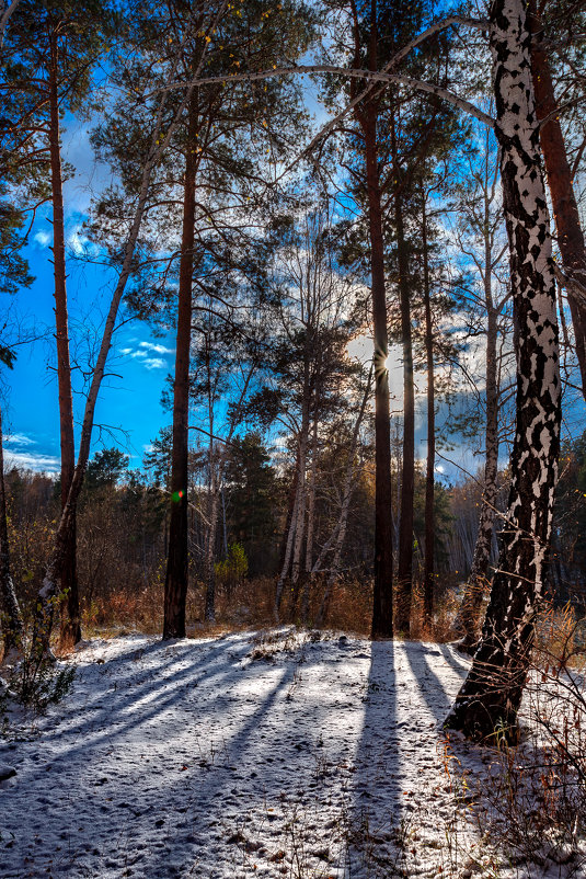 Осень в лесу - Евгений Небензя