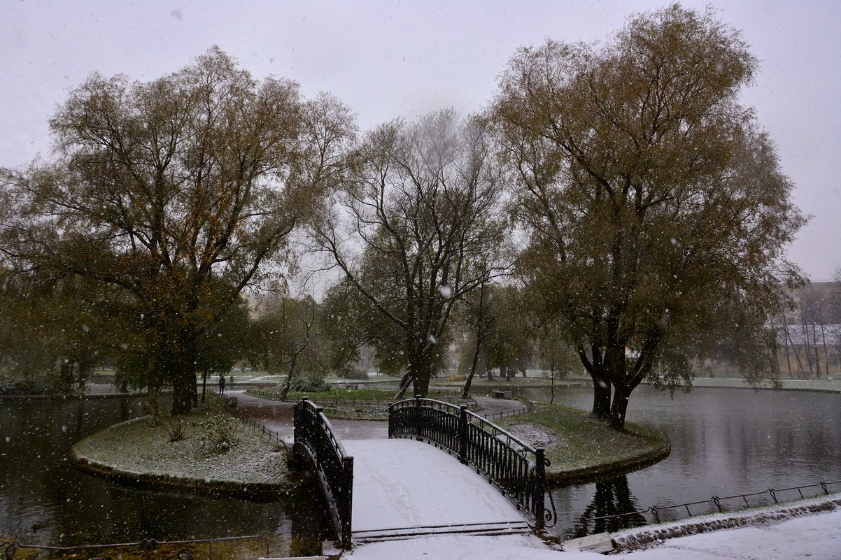 Первый снег в осеннем парке... - Витас Бенета