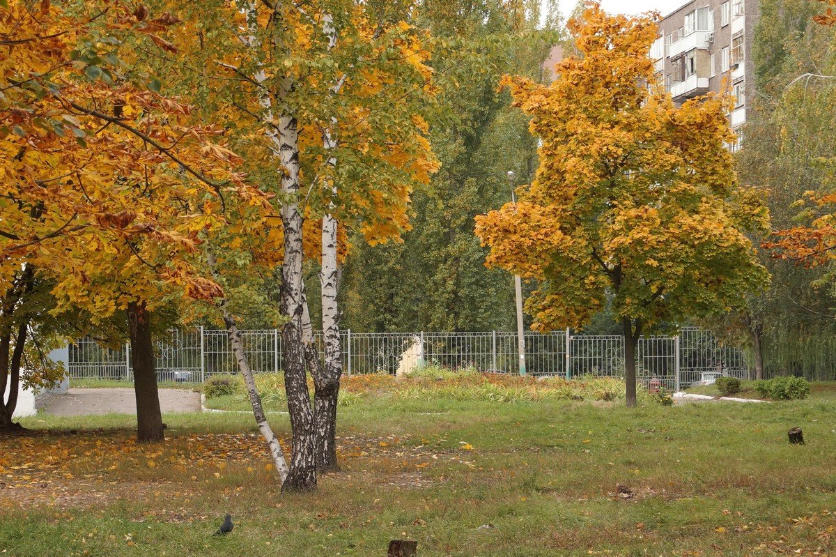 Осень в городе - София 