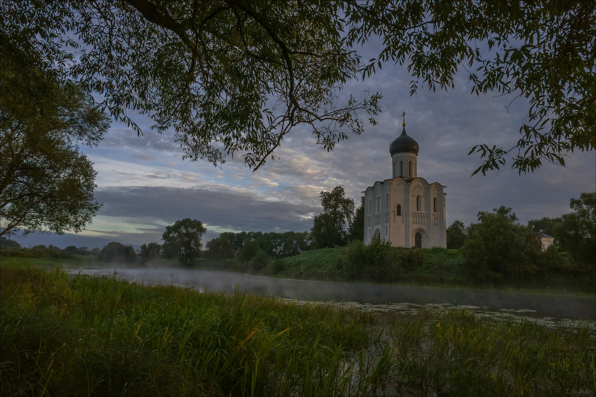 Ранним сентябрьским утром у храма Покрова на Нерли. - Igor Andreev