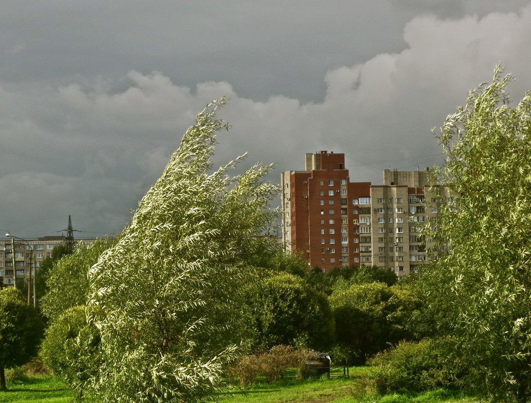 ветрено - Елена 