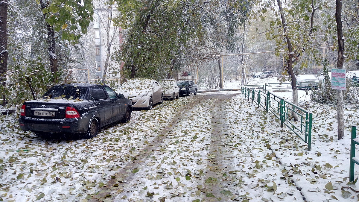 В Самаре первый снег - Александр Алексеев