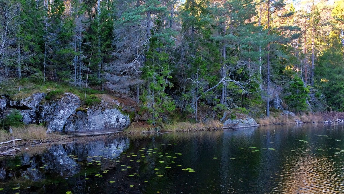 Природа Швеции - wea *