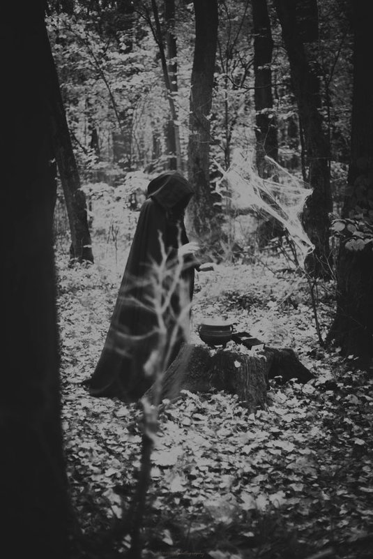 чёрный лес - ufoto16©photography ufoto16©photography