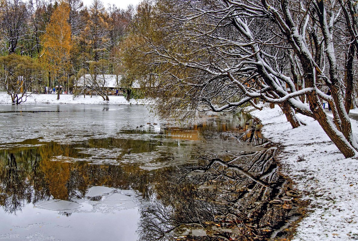 Первый снег на озере - Viacheslav Birukov