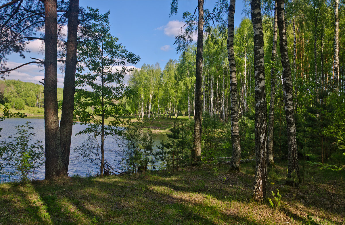 *** - Александр Березуцкий (nevant60)