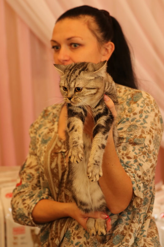 На выставке кошек - Игорь Смолин