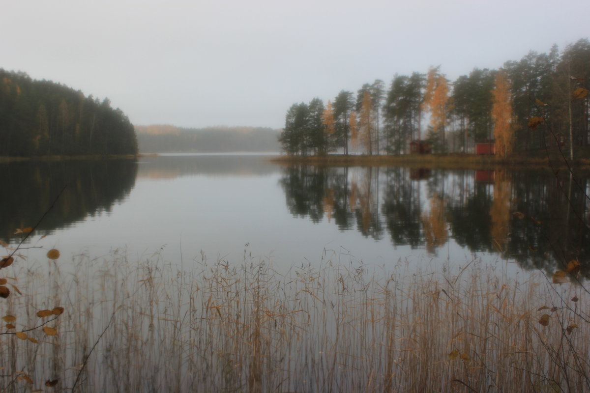 Одно из 56 000 озер Финляндии - Марина Домосилецкая