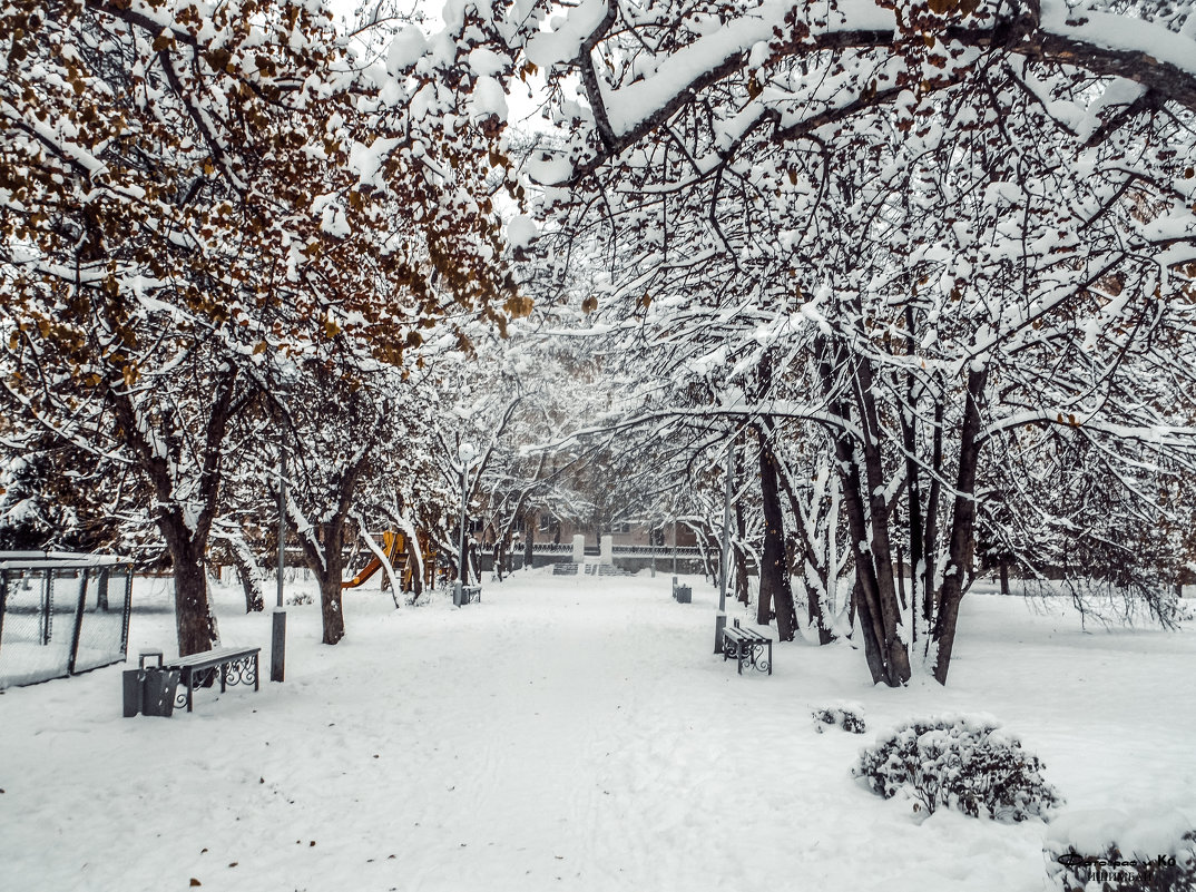 Зима в парке 3 - Вячеслав Баширов