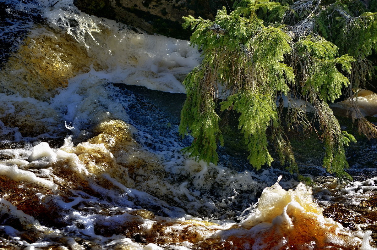 Бурная весна на реке Саркойоки... - Владимир Ильич Батарин