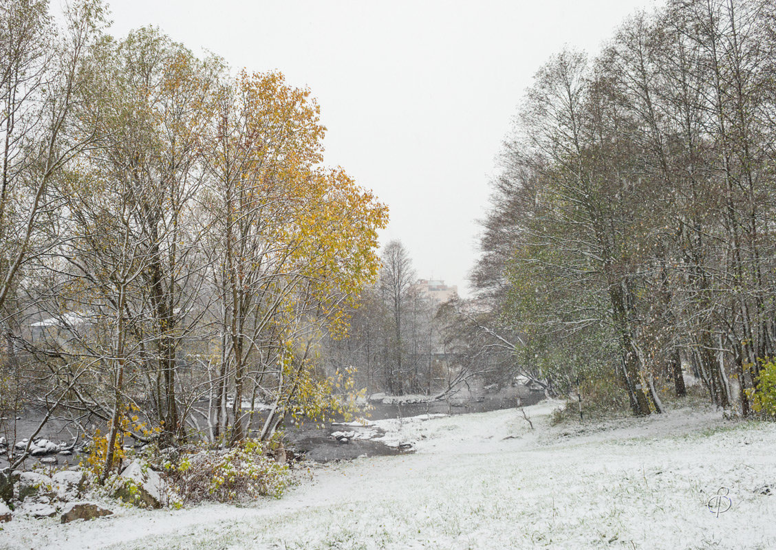 Снег в октябре 22 - Виталий 