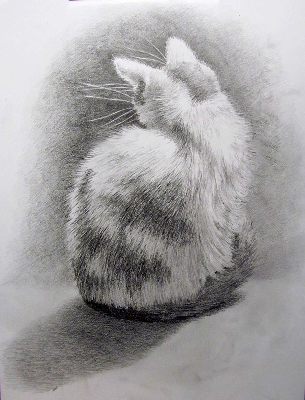 Котенок - рисунок карандашом - rv76 