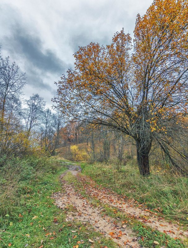 Осень - Николай Андреев