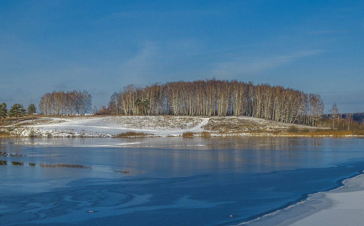 Березняк над прудом - Сергей Цветков