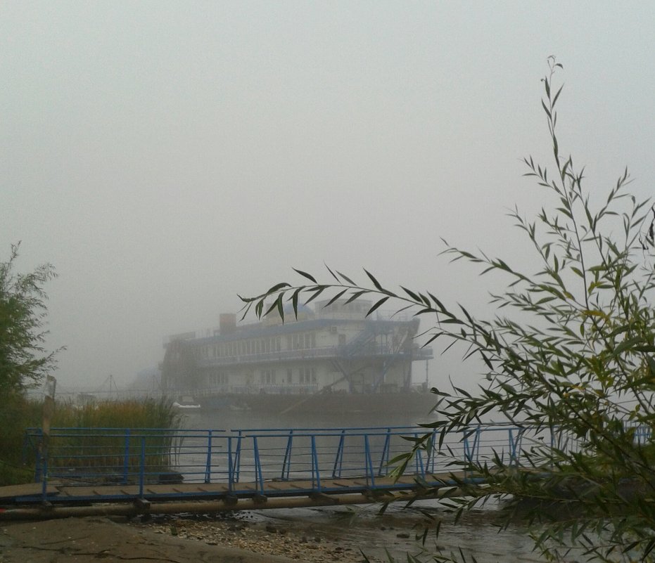 Туман - наталия 