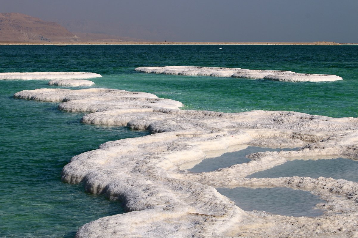берег Мертвого - Содомского моря в Иудейской пустыне в Израиле - vasya-starik Старик