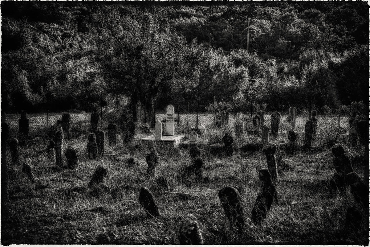 Старое кладбище - Geolog 8