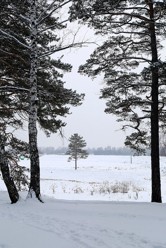 Зима - Екатерина Маринина