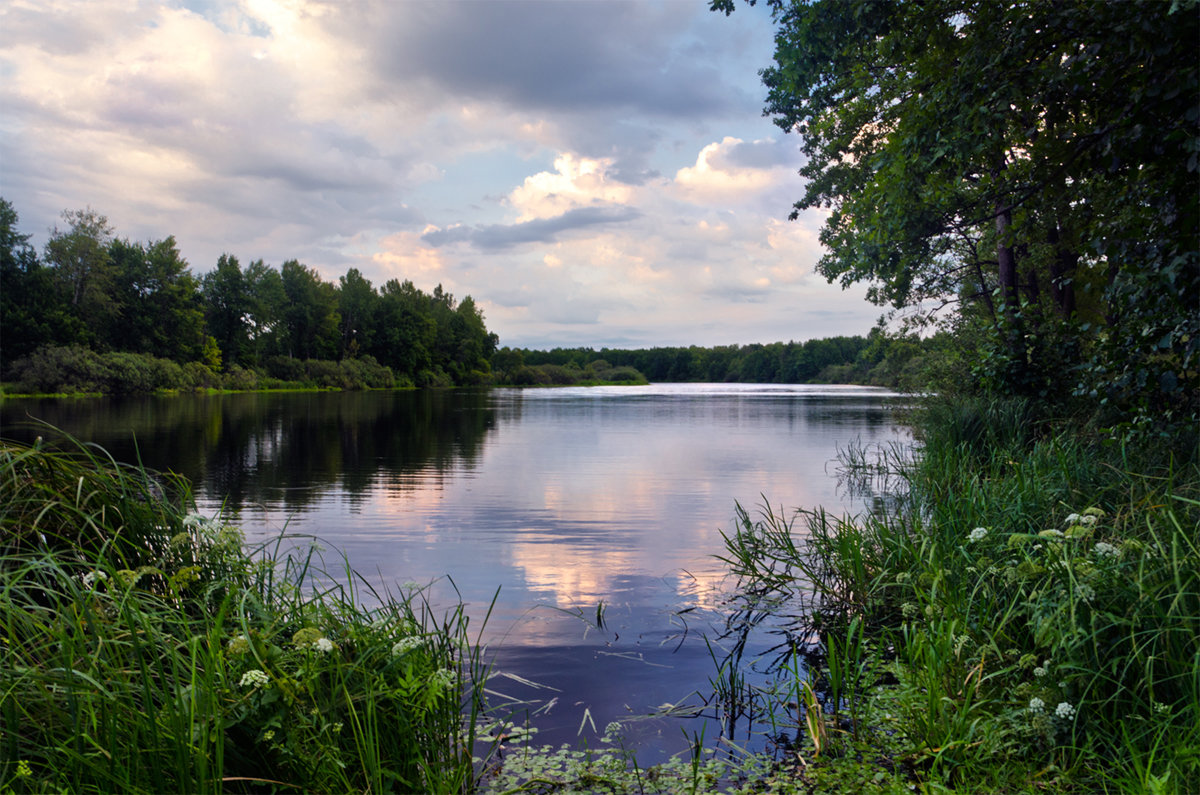 Озеро Усовье - Александр Березуцкий (nevant60)