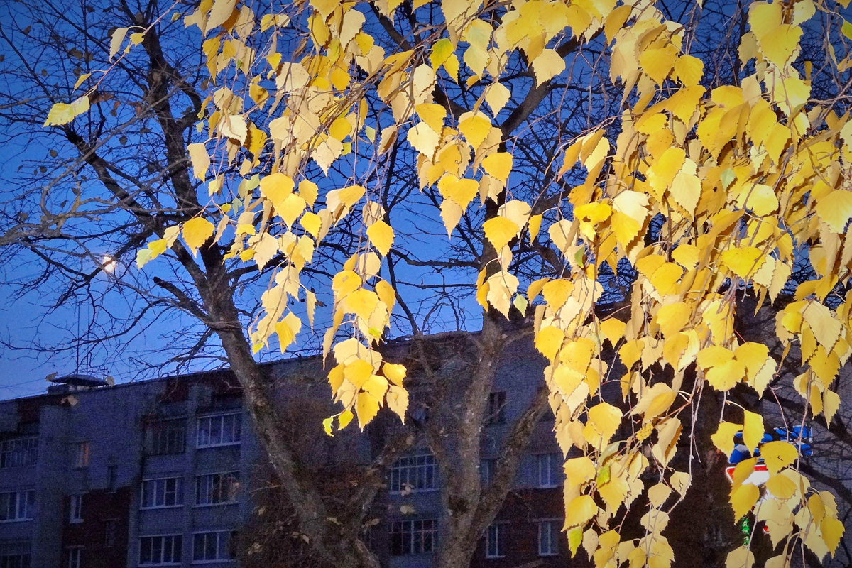 Осенние листья - Валерий Талашов