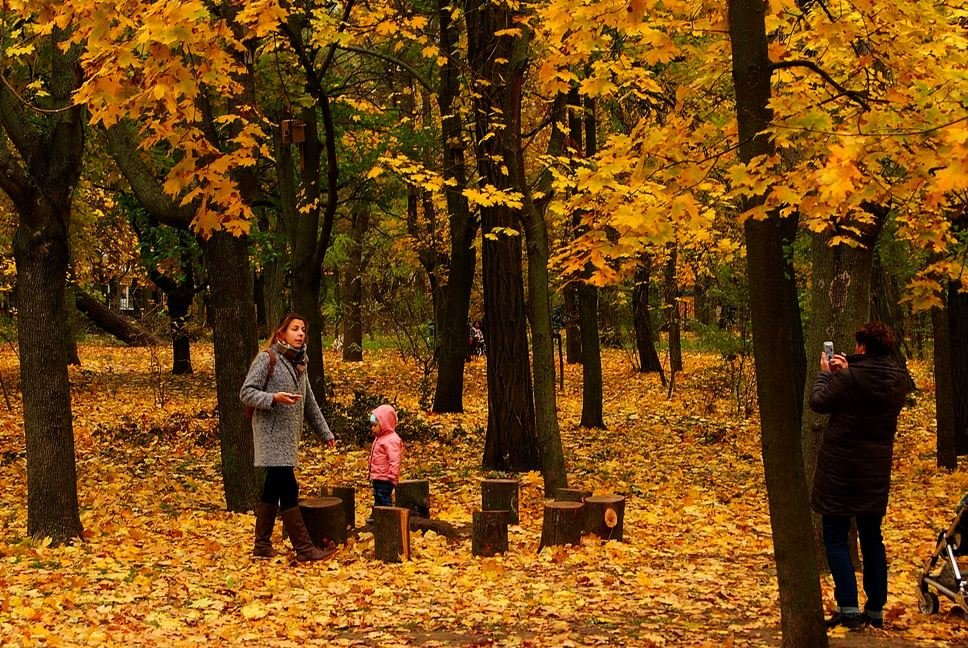 в осеннем парке - Александр Корчемный