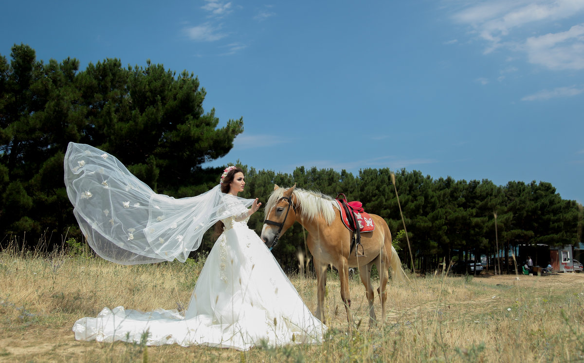 фотосет на природе. модель в образе невесты - Elmar Gadzhiev