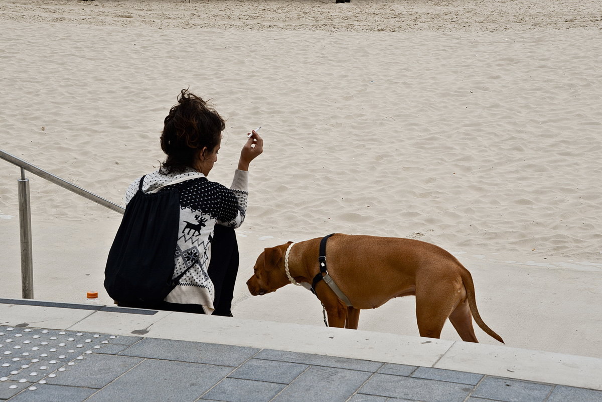 С собакой на пляже - Владимир Брагилевский