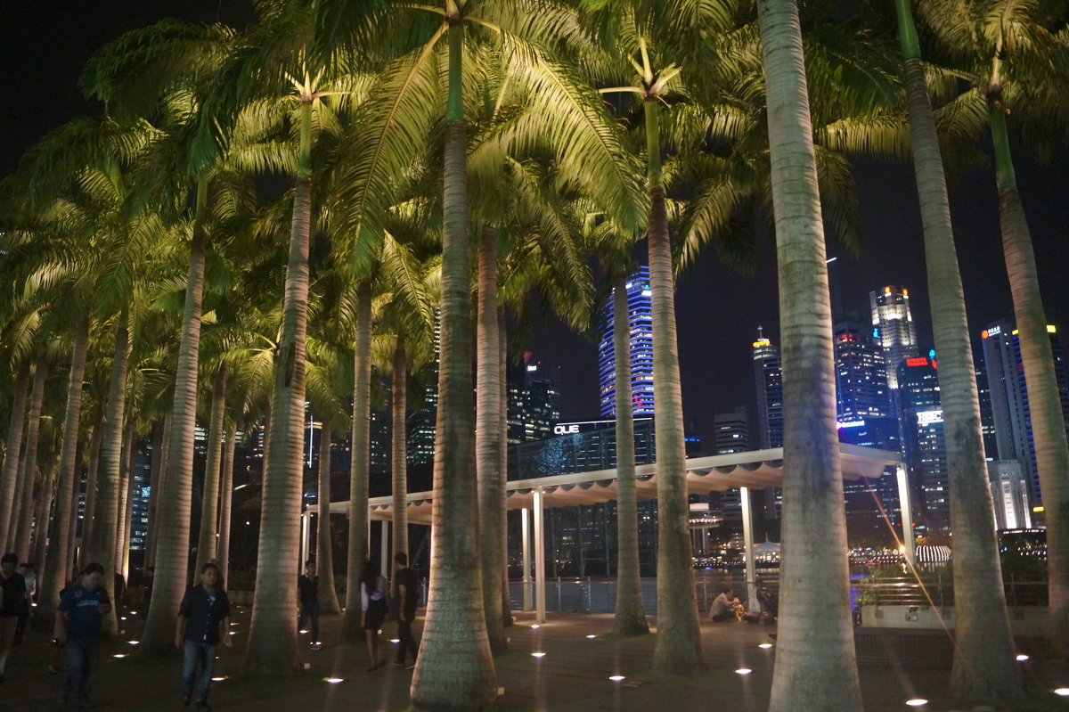 Сингапур. Пальмы и небоскребы - Gal` ka