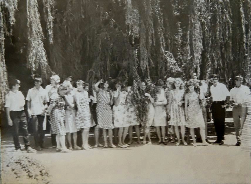 В Никитском ботаническом саду. 1967г. - Светлана Лысенко