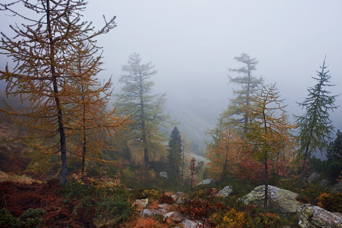 осень в горах, как одно волшебство - Elena Wymann