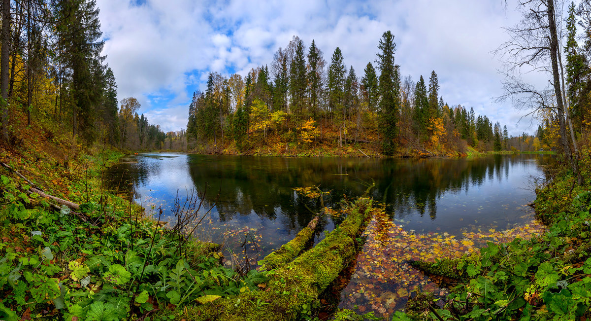 Осень на озере - Фёдор. Лашков