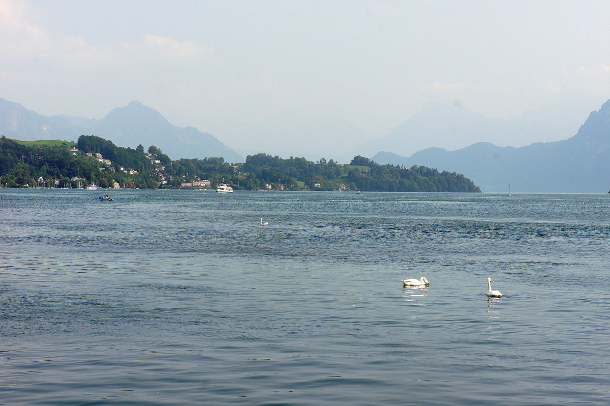 Люцерн, озеро в Швейцарии; более распространённое название ≈ Фирвальдштетское озеро - Елена Павлова (Смолова)