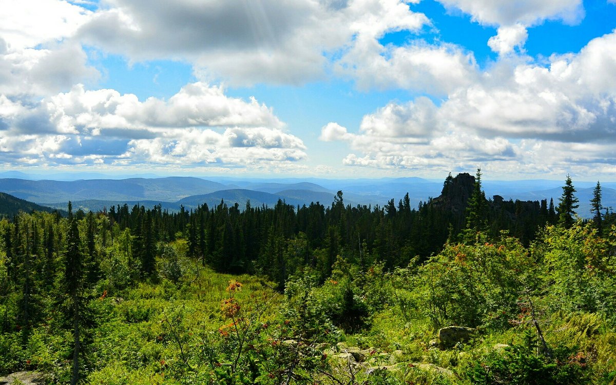 Горная Шория Тайга