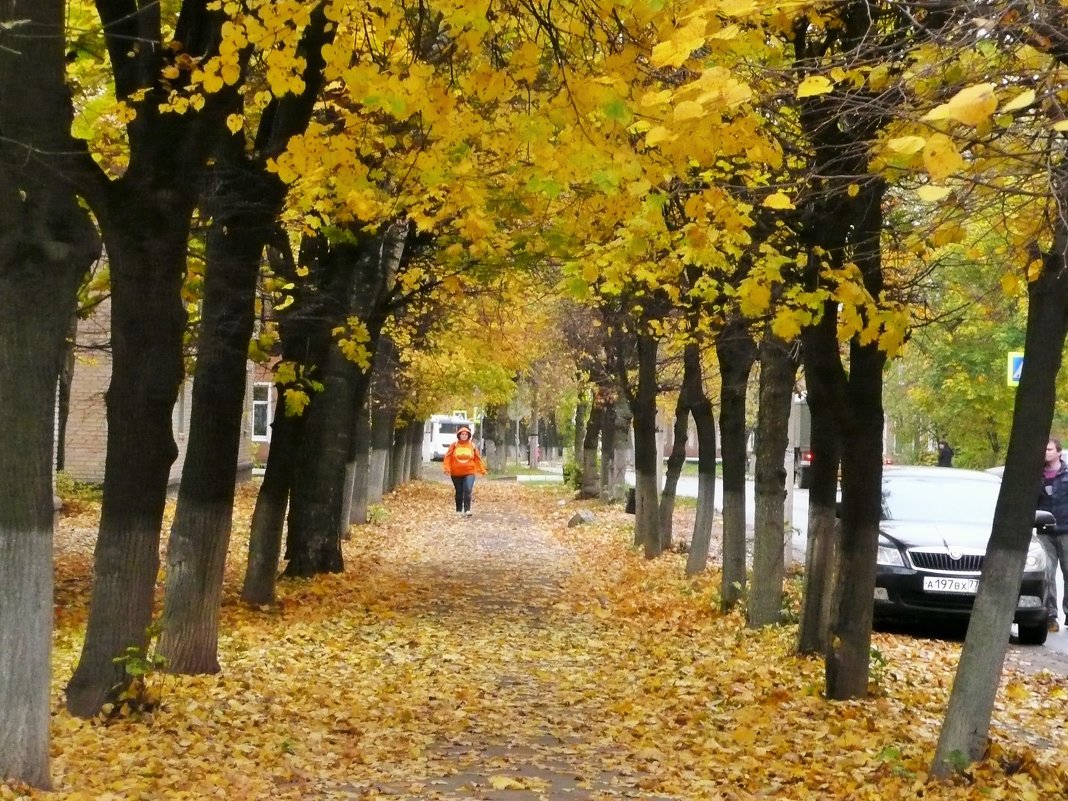Осень - Владимир Холодницкий