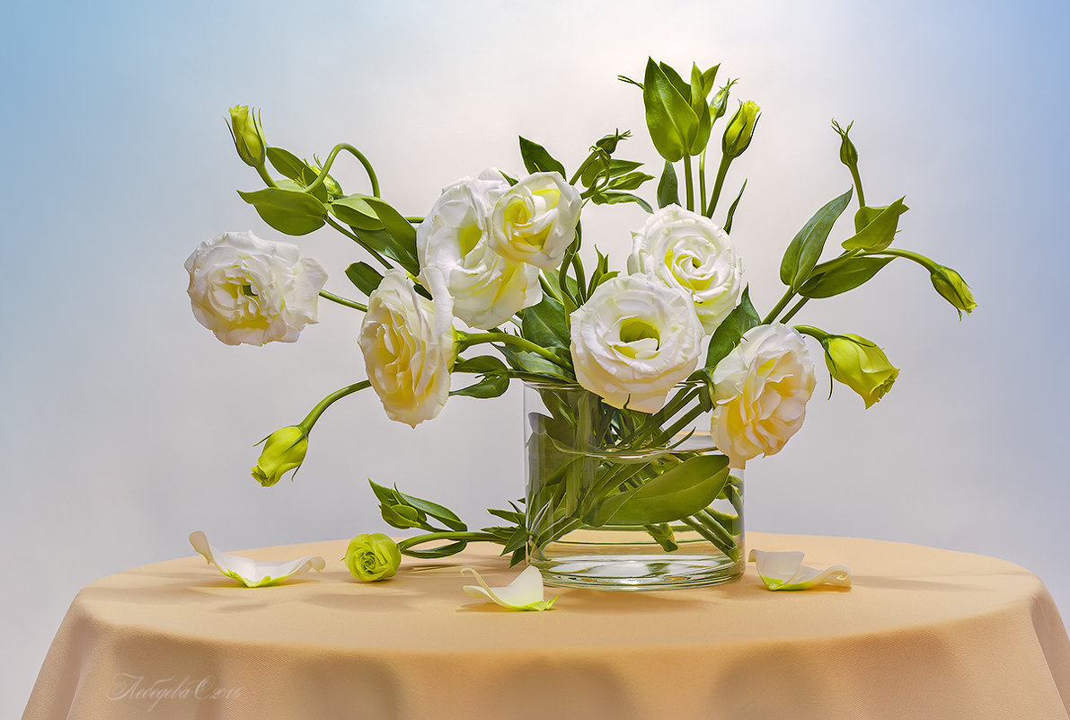 Белые цветы - Светлана Л.