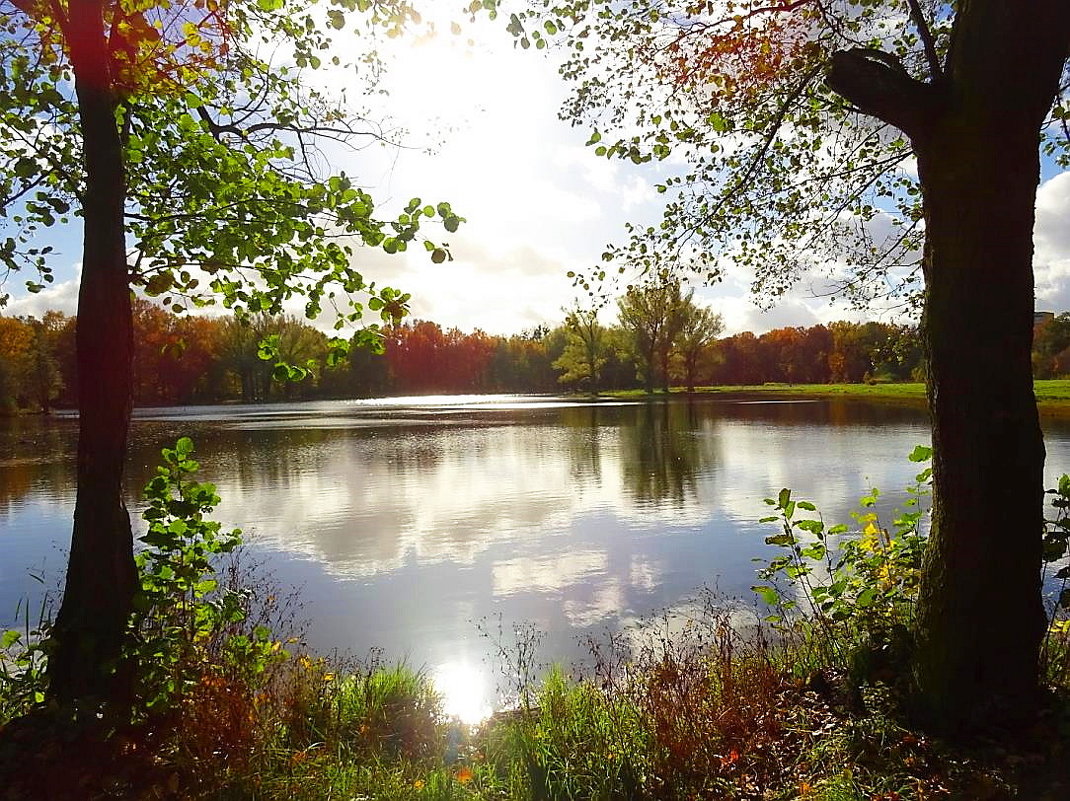 Озеро Лесное в лучах осеннего солнца - Маргарита Батырева