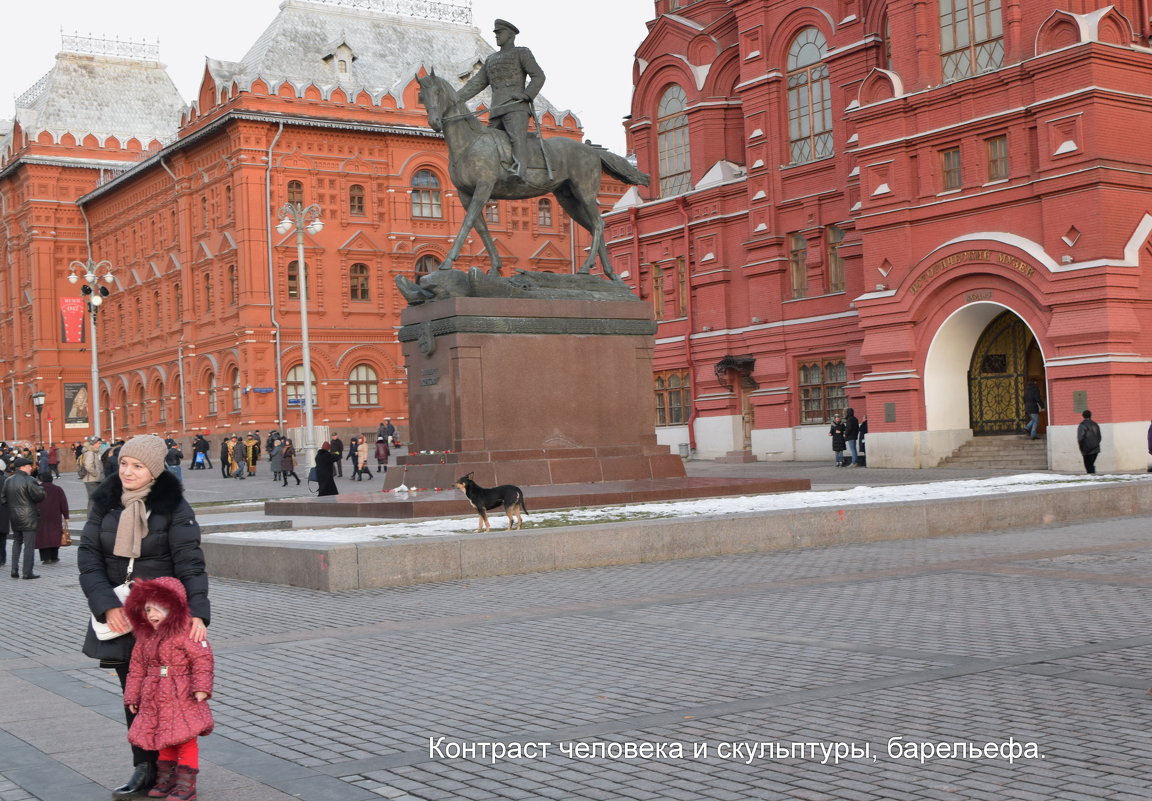 Бездомные собачки позируют на Красной площади - Татьяна Помогалова