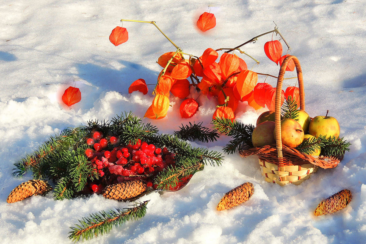 Красные ягоды на снегу..... - Павлова Татьяна Павлова
