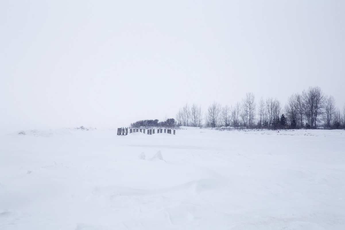 Зима - Екатерина Маринина
