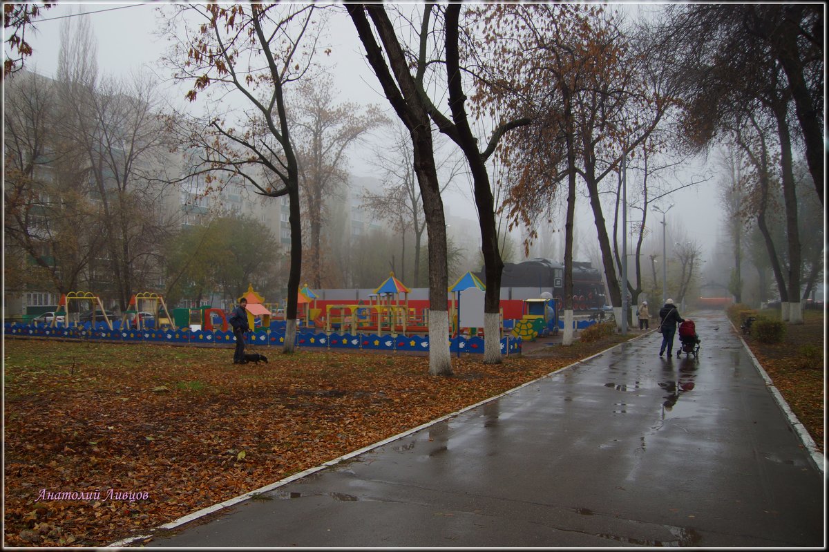 Осень, туман и редкие гуляющие. - Anatol L