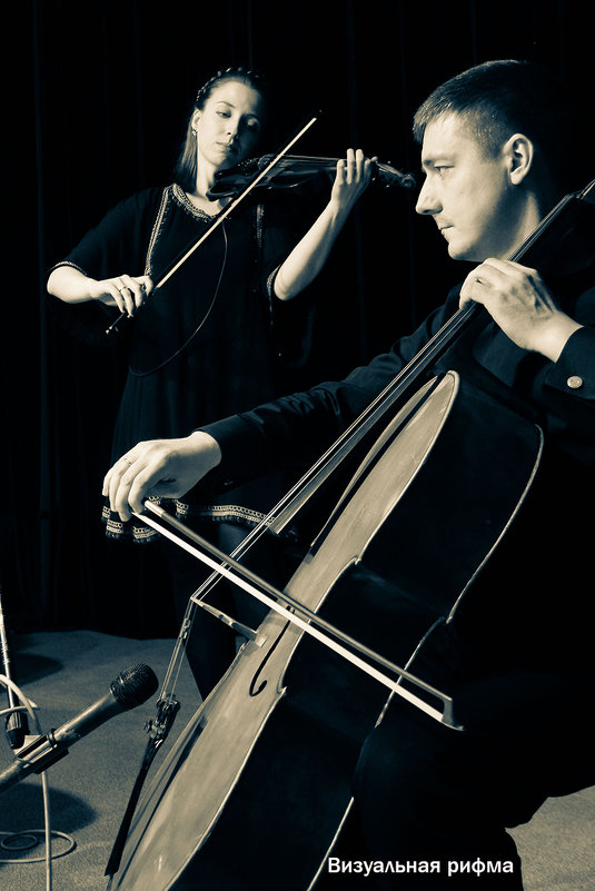 Скрипка и виолончель - Елена Бушуева