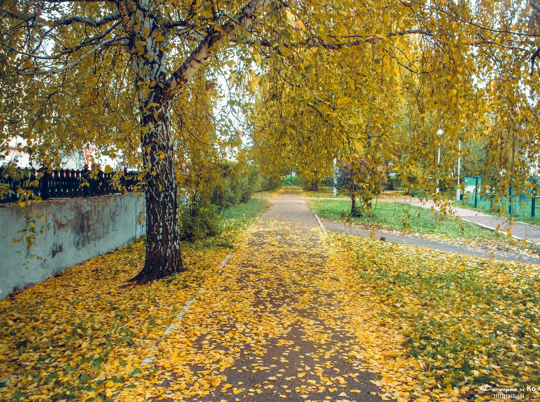 В парке 2 - Вячеслав Баширов