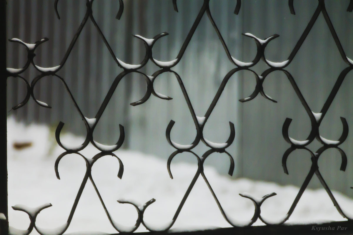 a fence of wrought iron - Ksyusha Pav