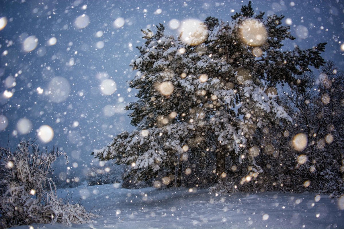 Снегопад - Ольга 