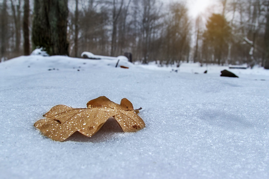 ... Winter - Виталий Pozitiff