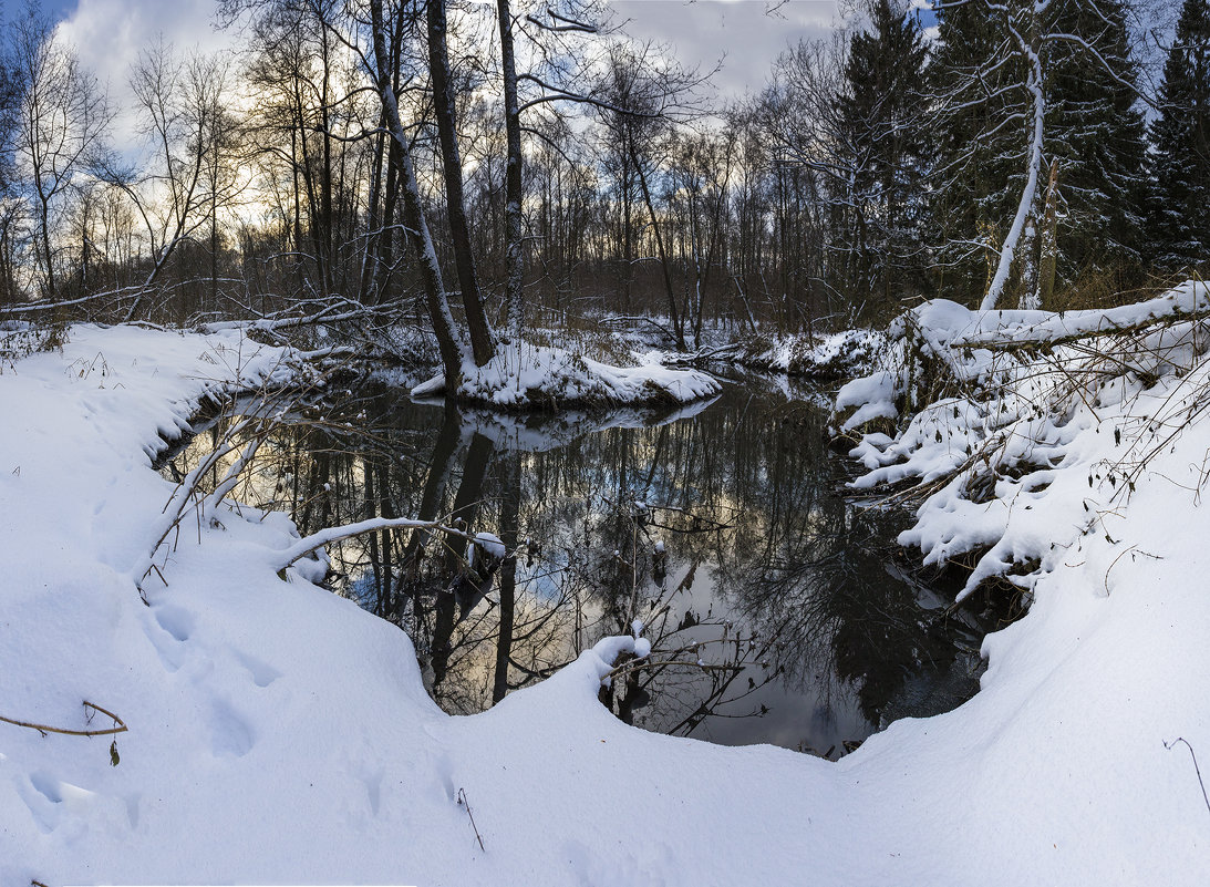 Рассвет в зимнем лесу - Dmitriy Martynenko