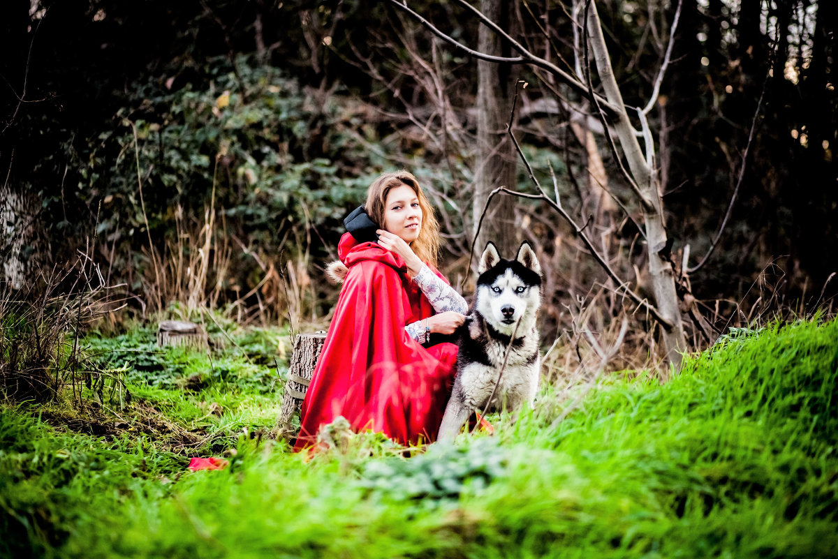Девушка и волк - Марина Алексеева