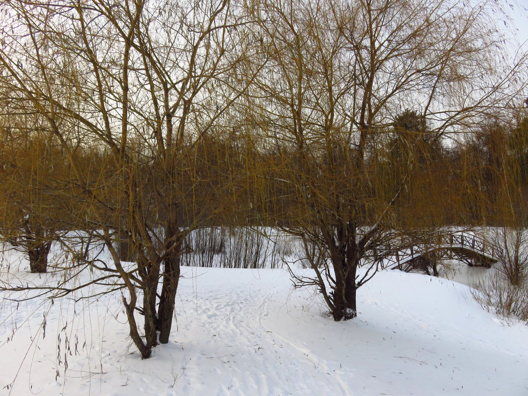 Настоящая зима - Андрей Лукьянов