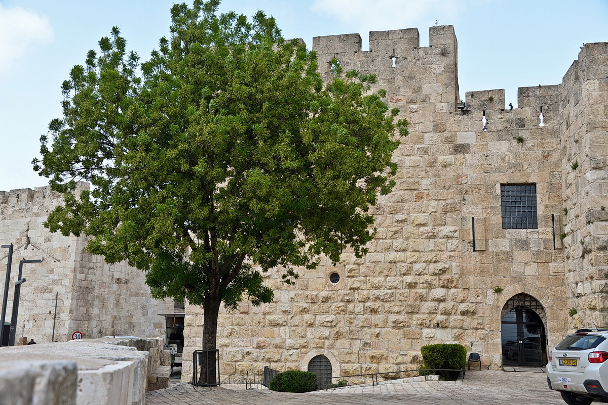 Иерусалим,стены старого города - Владимир Брагилевский